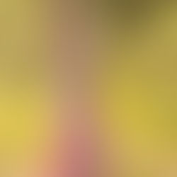 Ana Cooke - 3er Cambio del photoshoot para iOS Revista