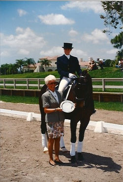 Green & Gray Dressage