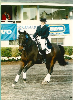 Green & Gray Dressage