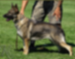 2020-01-09 (2).png