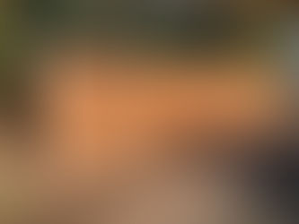 How This Innovative Timber Sleeper Wall Solution Transformed a Garden Landscape: An Unconventional Approach to Ground Retention with RSJ Galvanised Posts