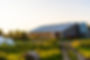 A7R01243.jpg