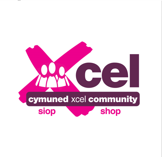 Xcel Project. Home. Carmarthen