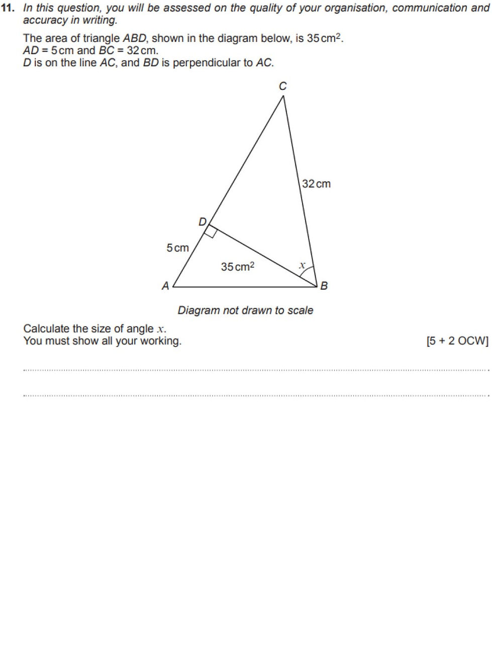 1000 x 1333 template.jpg