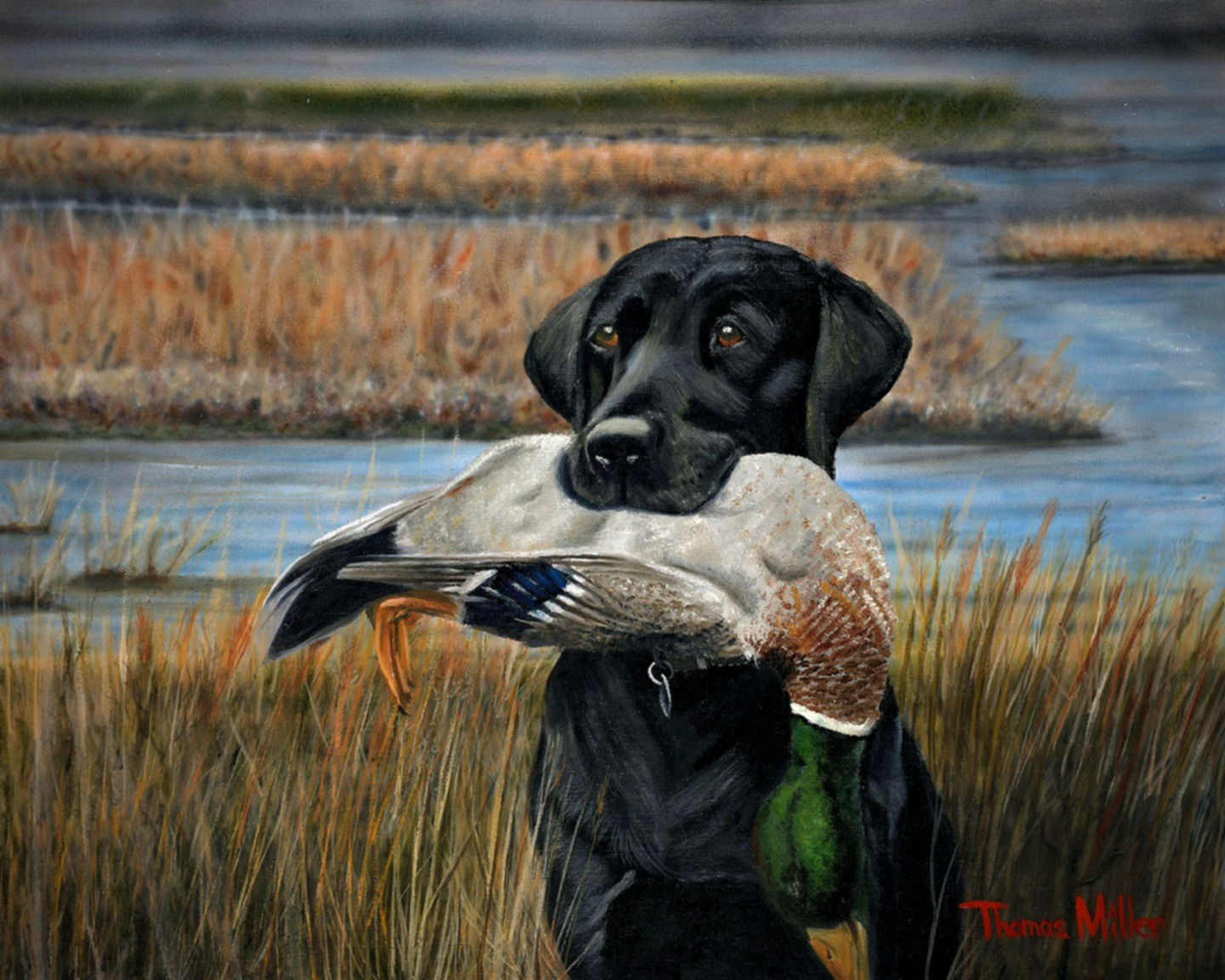 "Fetchin' Fowl" - print