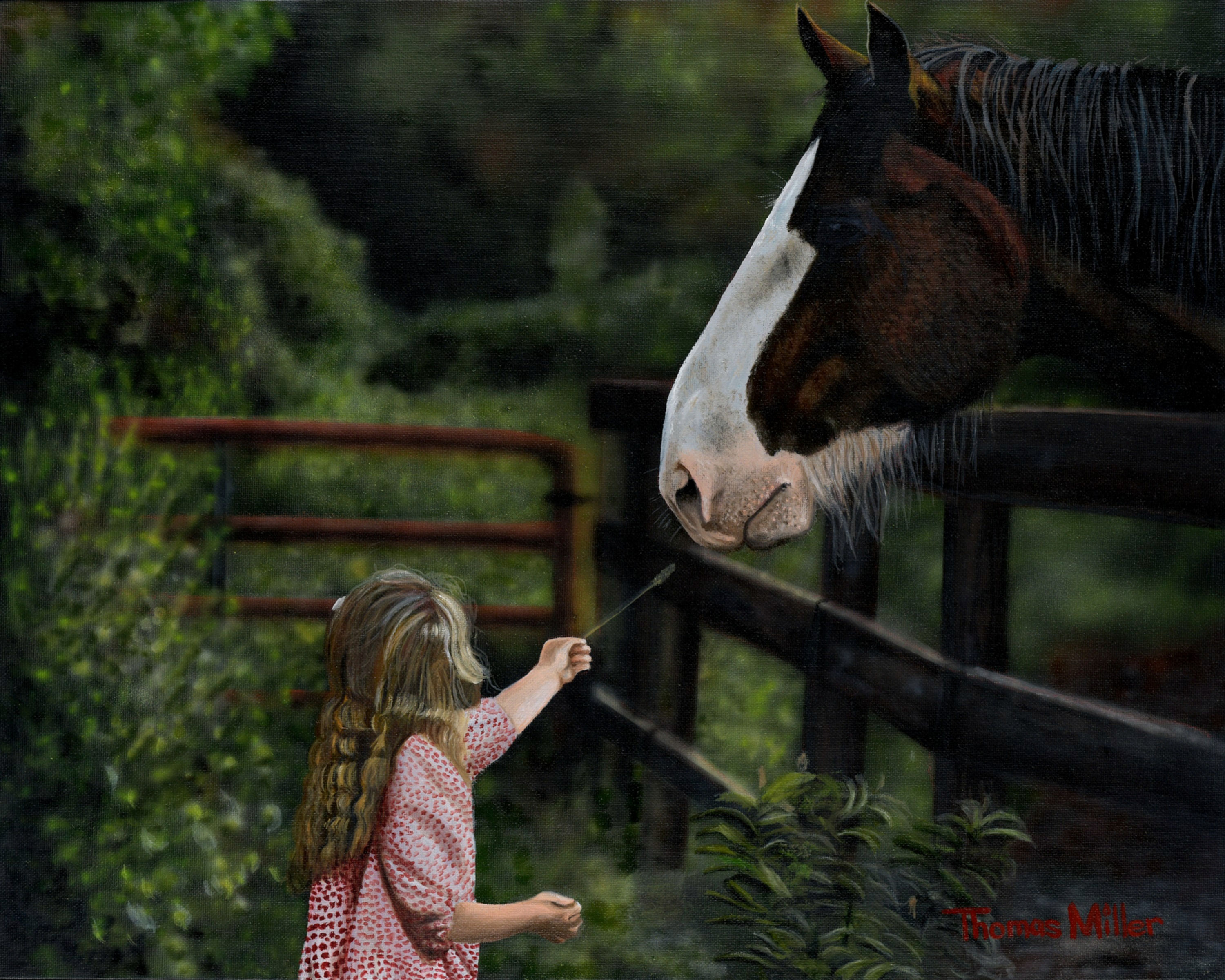 "Summer Friends" - print