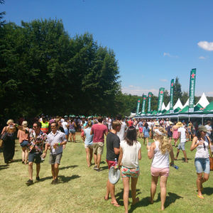 Feather banners (square, rectangle, sail) offer eye-catching branding for events, retail, and sponsors with easy setup and customizable skins.