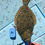 Thumbnail: 9.5" Hook Remover