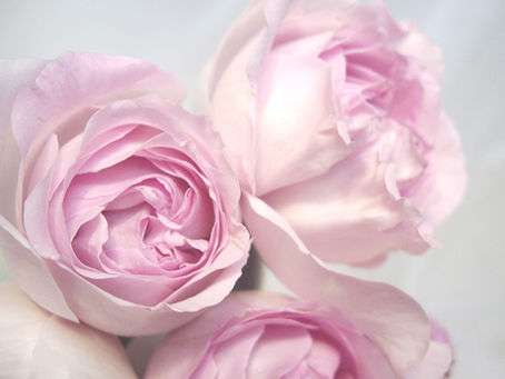 Wix、慣れれば簡単です。