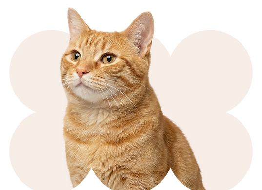 Weavy_2_edited.png