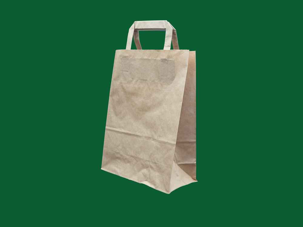 PAPER BAG WITH HANDLE 22X10X29