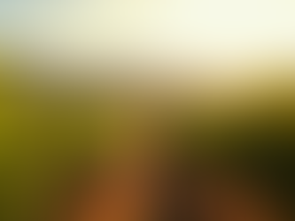 Santa Ynez Region Wines: Jack Weasel Tastes Blackjack Ranch Winery