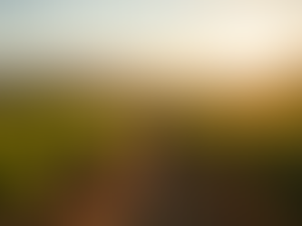 Sipping Through Santa Ynez: From Brick Barn to Foxen — A Cat’s Guide to Cultivated Indulgence.