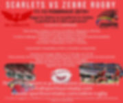 scarlets v zebre - Facebook post.jpeg