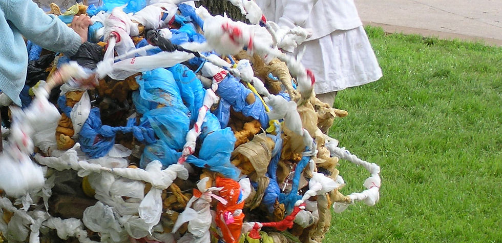 TRAshball
