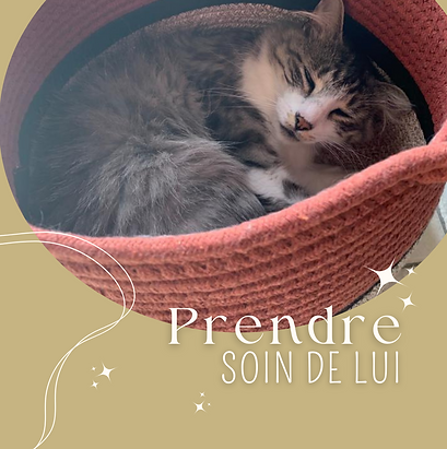 tips ien-être (1).png