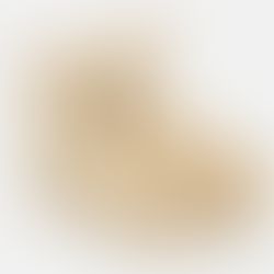 Loewe Paula's Ibiza Wedge Natural Color