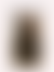 What to Pack for a Trip to Paris This Fall