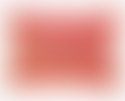 OKL Gwen Velvet Pillow Pink and Red