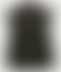 Chloé x Barbour Jacket Green and Brown