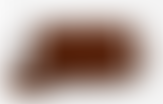 J. McLaughlin Suede Crossbody Brown/Toasted Coconut