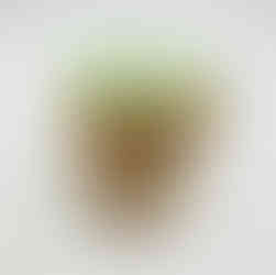 #SağlıklıAtıştırmalıklar #DoğalAtıştırmalıklar #SağlıklıYaşam #TuzluAtıştırmalık