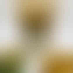 #SağlıklıAtıştırmalıklar #ÇayKahveYanı #ŞekersizKurabiye #BitterÇikolata #Floren