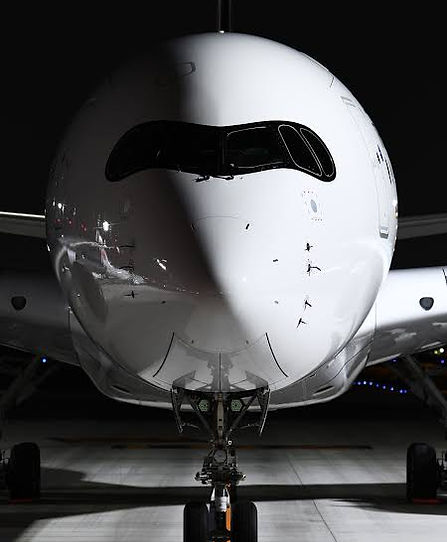 Aircraft's front view (Radom)