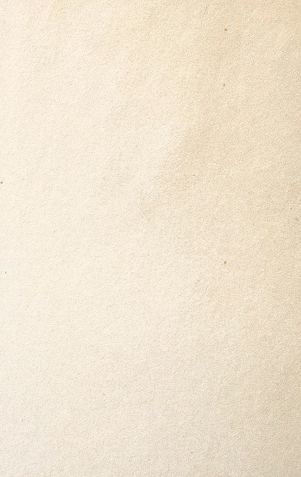 Untitled_Artwork 6.png