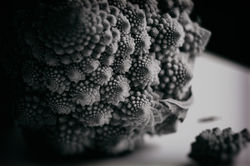Fractal