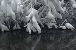 река Лихоборка