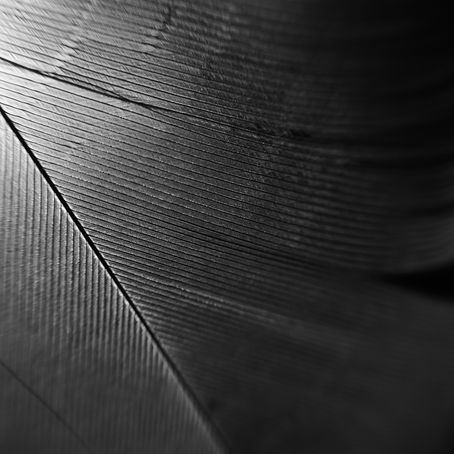 new | form and content