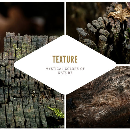 new | TEXTURE