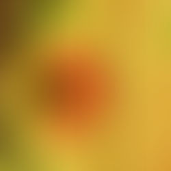 NEW | TEXTURE OF AUTUMN