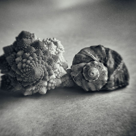new | form and content