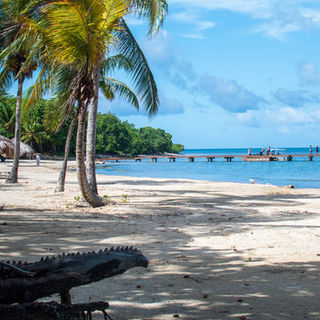 untitled (52 of 74).jpg