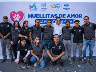 Municipio de El Marqués realizará 10 mil esterilizaciones gratuitas para perros y gatos