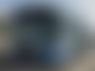 Nuevos autobuses se incorporan a la ruta T07