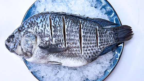 Tilapia entera