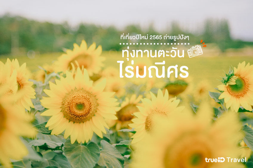 d2a83210-37d6-11ec-8e1f-6bce3683de8c_original.jpg