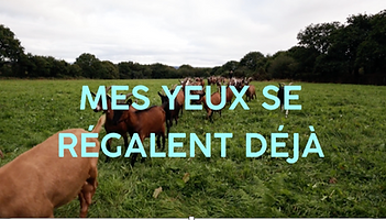 Capture d’écran 2025-07-25 à 18.43.13.png