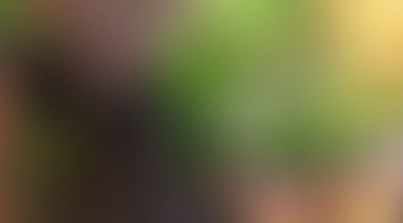 Premières récoltes