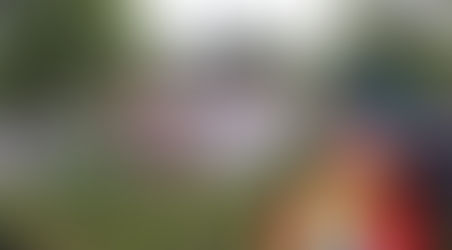 L'hommage à Kohl vu de l'exterieur