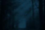 bg_sustent.jpg