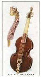 Viol Image.jpeg