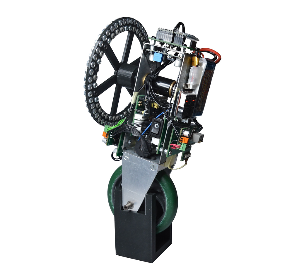 The self-balancing robot setup used for this project
