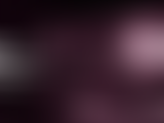 Top Reasons Businesses Prefer Professional SEO Services in India — Insights from ThatWare LLP