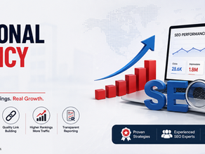 Professional SEO Agency in India