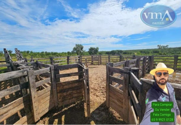 Imagem do WhatsApp de 2025-11-06 à(s) 15.40.41_e4e5a415