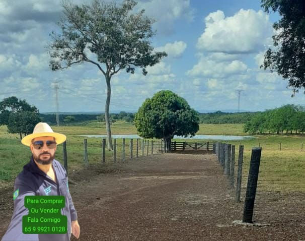 WhatsApp Image 2025-11-11 at 18.40.50 (1)